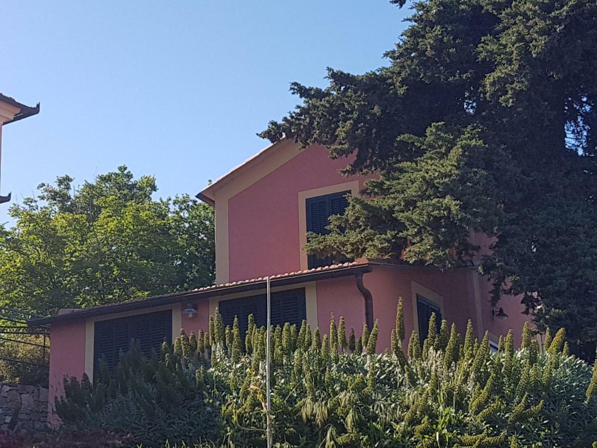 Villa Caterina อิมเปรีอา ภายนอก รูปภาพ